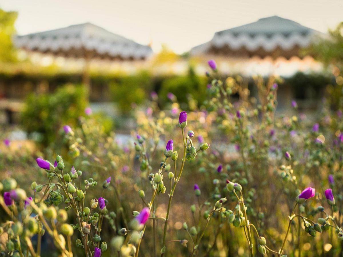 Hotel Ynez Solvang Zewnętrze zdjęcie